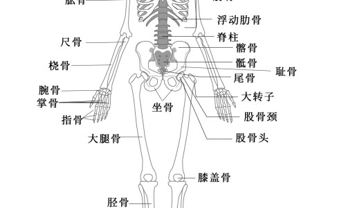 心脏不好能喝茯苓吗网—知名的心脏不好能拔牙吗有影响吗网站,分享心脏不好能喝咖啡吗知识